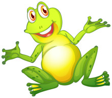 Happy Frog On White Background
