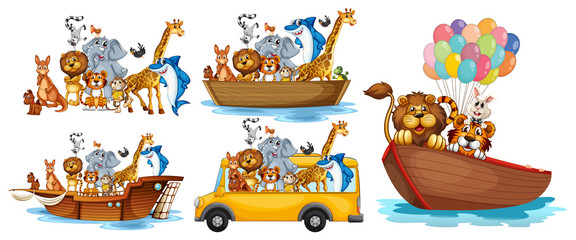 Wall Mural - animals on different types of transportation