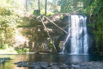 Wall Mural - waterfall in the forest