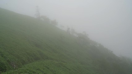 Wall Mural - Mount Tsurugi in Tokushihma, Japan, August 2019.