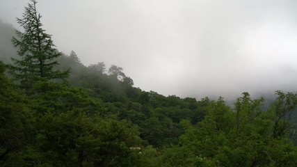 Wall Mural - Mount Tsurugi in Tokushihma, Japan, August 2019.