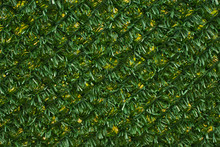 Texture Of Green Fence Fence. Artificial Green Fence.