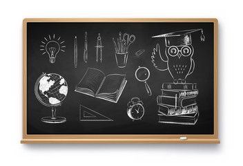Wall Mural - chalk drawn illustrations of education items