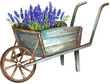Wooden wheelbarrow with lavender
