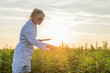 Scientist observing CBD hemp plants on marijuana field and taking notes