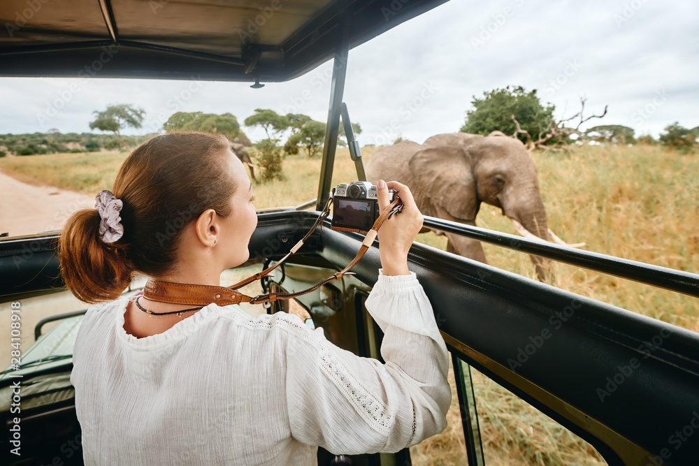 A woman on an African safari travels by car with an open roof and photograph wild elephants - obrazy, fototapety, plakaty 