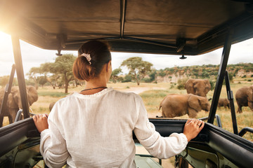 woman tourist on safari in africa, traveling by car with an open roof in kenya and tanzania, watchin