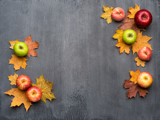  Seasonal autumn background. Frame of colorful maple leaves, peaches and apples over grey