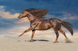 Red stallion run fast against sunset sky