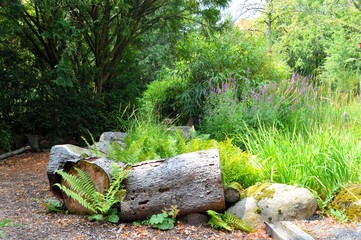 Wall Mural - small pond with landscaped planting on the edge