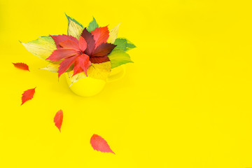 Wall Mural -  A yellow cup stands on a yellow table with a bouquet of bright foliage of trees.