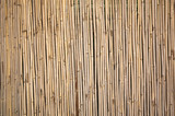 Fototapeta Sypialnia - yellow bamboo wall background