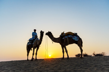 Silhouette of Indian man and camel during sunrise at Thar desert in Jaisalmer, Rajasthan, India.