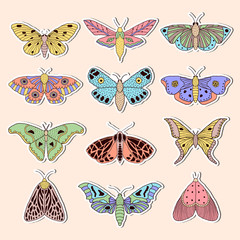 Poster - Stickers with butterflies