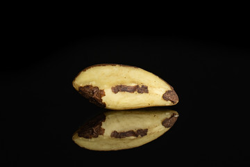 One whole single unshelled brazil nut isolated on black glass