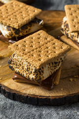 Canvas Print - Homemade Gooey Smores Sandwiches