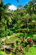 Garden at Goa Gajah temple in Bali, Indonesia