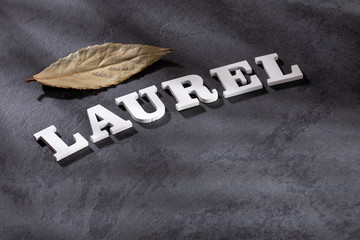 Wall Mural - Laurus nobilis - Dry bay leaf. Text space