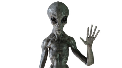 gray alien. 3d render
