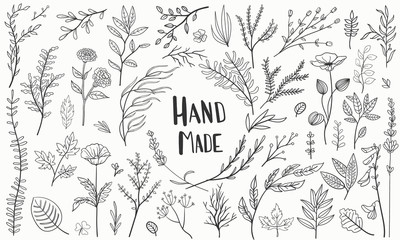 set plants hand made, hand-drawn vector