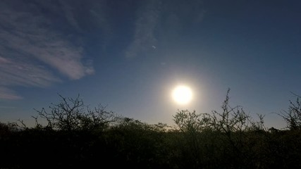 Wall Mural - total solar eclipse, villa del merlo, san luis, argentina, 02/06/2019