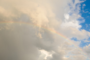 Wall Mural - Bright colored rainbow amid blue skies after rain on warm summer day