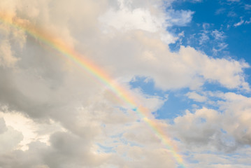 Wall Mural - Bright colored rainbow amid blue skies after rain on warm summer day