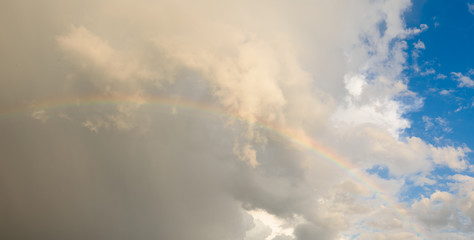 Wall Mural - Bright colored rainbow amid blue skies after rain on warm summer day