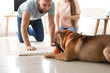 © Pixel-Shot - Happy couple playing with cute dog at home