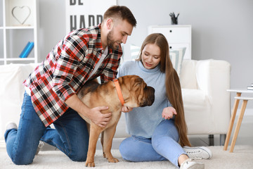 Sticker - Happy couple with cute dog at home