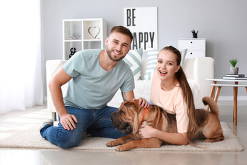 Sticker - Happy couple with cute dog at home