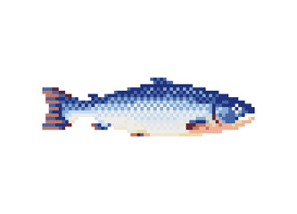 Poster - salmon fish icon. pixel art flat style. isolated vector illustration. 8-bit sprite. design stickers,