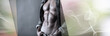 © thodonal - Muscular young man; panoramic banner
