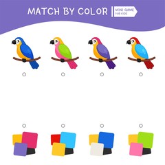 Wall Mural - Matching children educational game. Match of parrots and color palettes. Activity for pre sсhool years kids and toddlers.