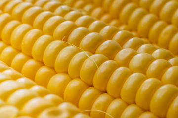 Wall Mural - macro close up corn seeds view texture of yellow color, agriculture