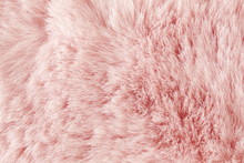 Light Pink Long Fibre Soft Fur Texture. Background Full Frame. Copy Space