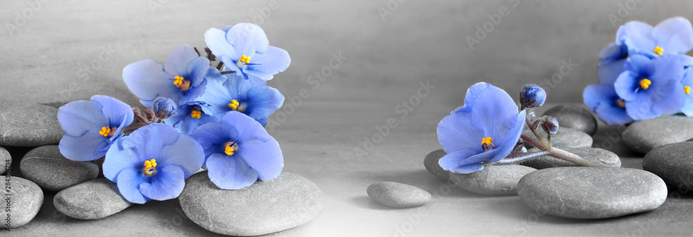 Zen stones and violet flowers on grey background. - obrazy, fototapety, plakaty 