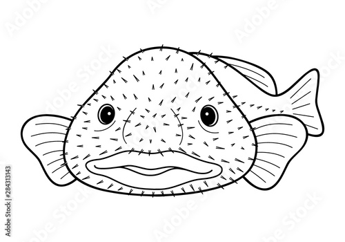 ブロブフィッシュ ニュウドウカジカ 深海魚 キャラクター ぬりえ