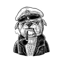 Wall Mural - Sea dog smoking pipe and dressed in captain hat. Engraving