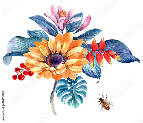 element autumn, spring, and summer watercolor for illustrations