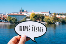 Question Do You Speak Czech? In Czech