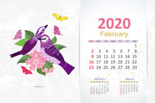 Couple Of Fancy Pretty Bird In Nature. Calendar 2020 Design, Feb