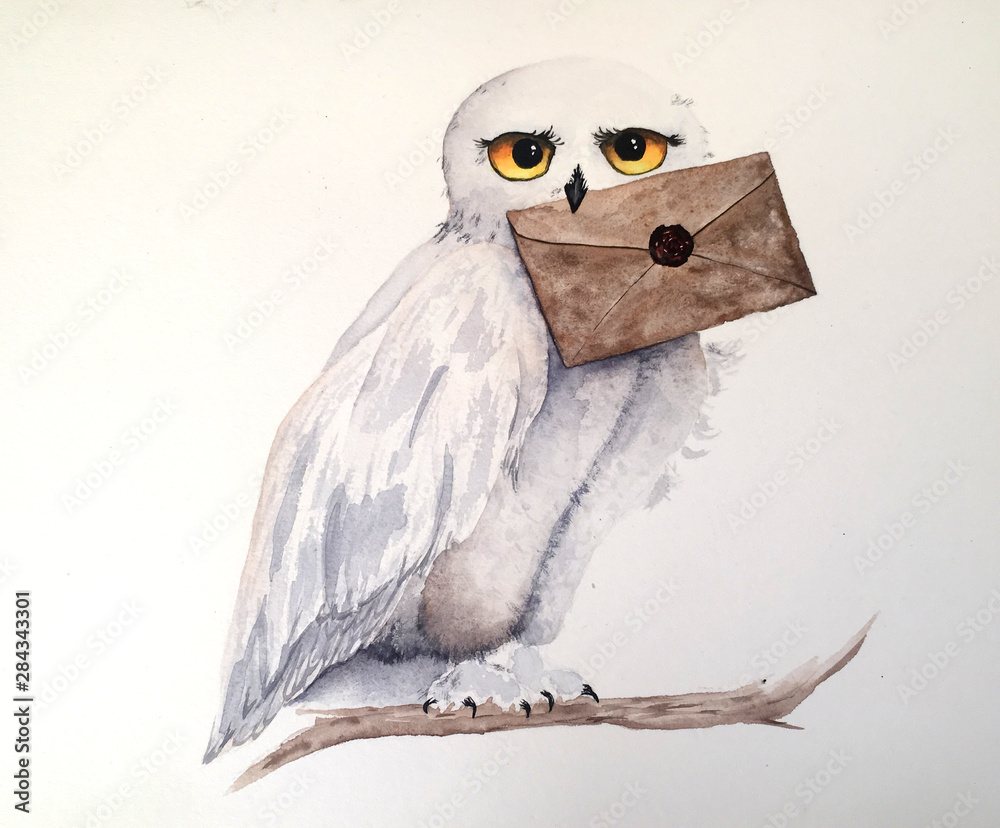 owl holding a letter - obrazy, fototapety, plakaty 