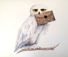 Owl Holding A Letter