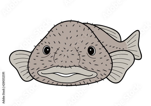 ブロブフィッシュ ニュウドウカジカ 深海魚 キャラクター ベクターイラスト Stock Vector Adobe Stock