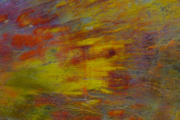 Poster - Petrified Wood close-up