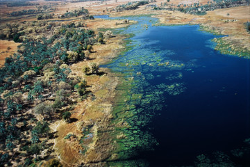  Botswana, Aerial View of Okavango Delta