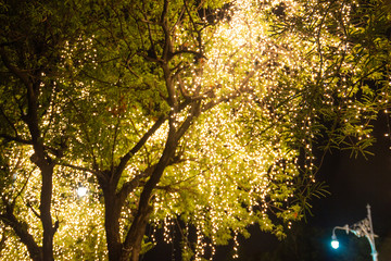 Blurred image Decorative outdoor string lights hanging on tree in the garden at night time