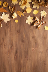 Wall Mural - Yellow leaves flat lay