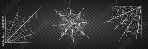 Cuadros en Lienzo Spiderweb set, isolated on black transparent background